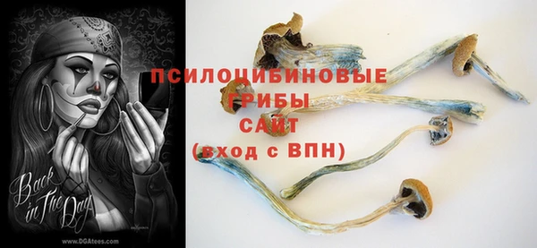 герыч Пестово