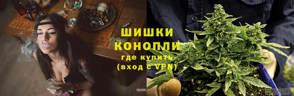 mdpv Остров