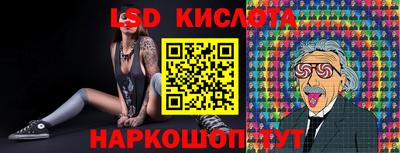 стаф Кинель