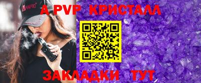 стаф Кинель