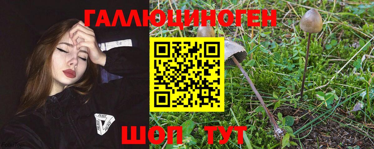 Псилоцибиновые грибы MAGIC MUSHROOMS  Вход с VPN  Полысаево 