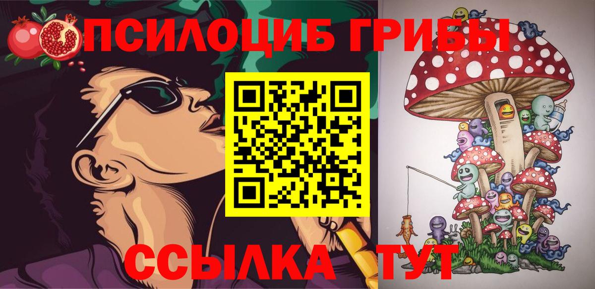 Псилоцибиновые грибы мицелий Полысаево