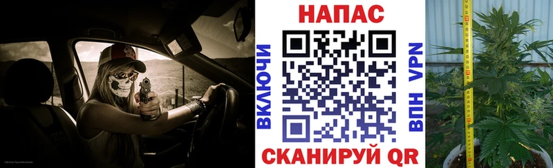 сайты даркнета формула  Полысаево  Канабис SATIVA & INDICA 